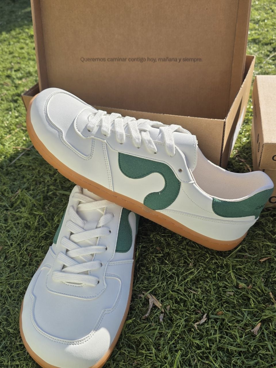 Coqueflex Deportivas 4422 Microfibra Verde Adulto