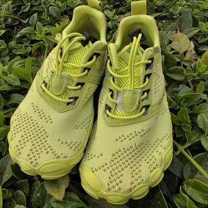 Saguaro Free II New Color